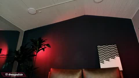 Snapshot of my_maite chatting on April 2026 01:41:01 PM Maite online show from April 2026 01:41:01 PM