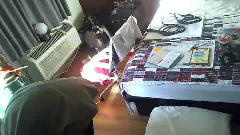 LA MARIPOSA DE MARICOPA online show from November 2025 03:16:01 PM