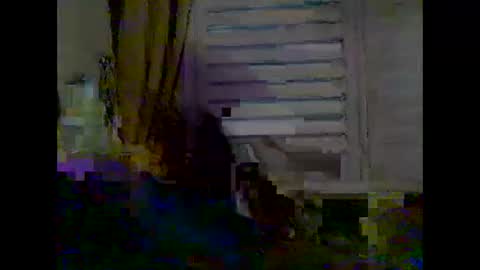 Snapshot of mycockissohard2021 chatting on May 2026 03:55:02 AM mycockissohard2021 online show from May 2026 03:55:02 AM