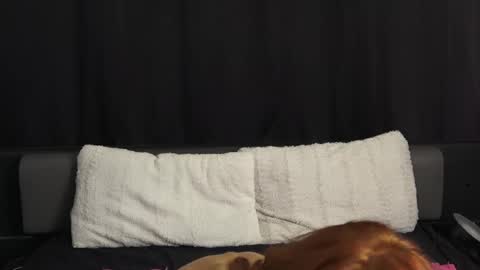 Snapshot of mymiesexy chatting on September 2025 10:10:02 PM mymiesexy online show from September 2025 10:10:02 PM