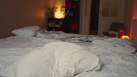 Snapshot of mynaughtynights chatting on January 2025 03:54:02 PM Sima online show from January 2025 03:54:02 PM