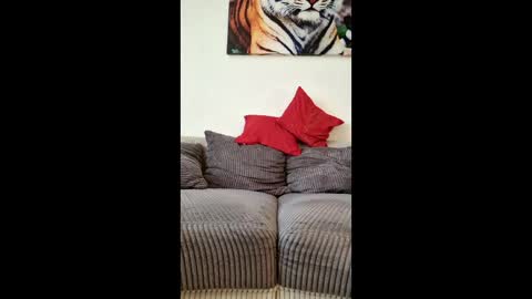 Snapshot of myrostus chatting on March 2026 02:45:01 PM myrostus online show from March 2026 02:45:01 PM