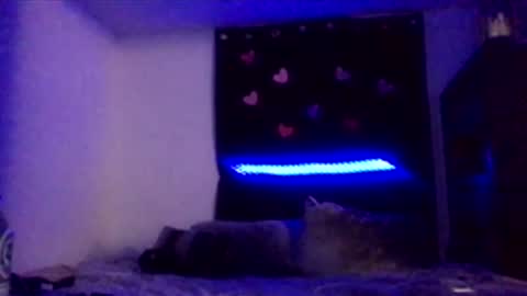 Missbellaaaxox online show from February 2026 08:13:01 AM