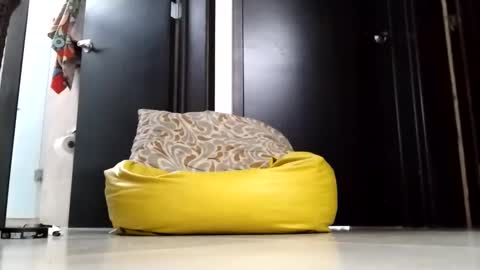 Snapshot of nak3d_lif3 chatting on April 2026 12:11:02 AM nak3d_lif3 online show from April 2026 12:11:02 AM