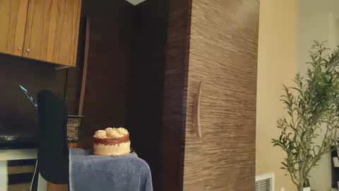 Drew from Seattle online show from January 2025 10:45:01 AM