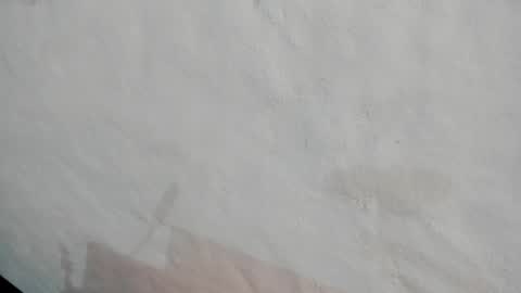 Snapshot of naoko_uwu chatting on December 2024 12:45:02 PM Naoko online show from December 2024 12:45:02 PM