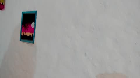 Snapshot of naoko_uwu chatting on January 2025 03:00:02 AM Naoko online show from January 2025 03:00:02 AM