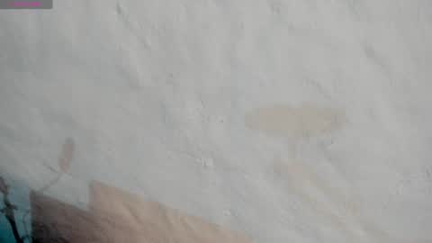 Snapshot of naoko_uwu chatting on January 2025 01:53:02 AM Naoko online show from January 2025 01:53:02 AM