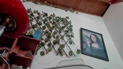 Snapshot of nasha__brown chatting on October 2025 05:30:02 PM Nasha online show from October 2025 05:30:02 PM