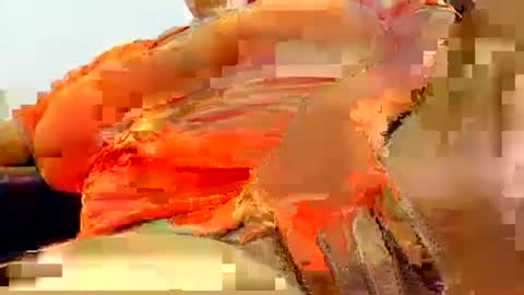 natasha_klaus1 online show from October 2025 02:44:01 AM