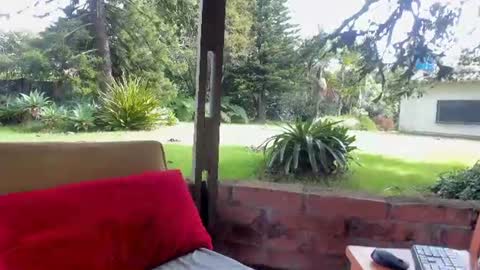 Snapshot of natashadiamondd chatting on June 2026 01:42:02 PM NatashaDiamond online show from June 2026 01:42:02 PM