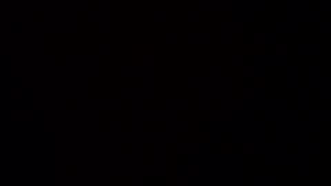 Haven online show from January 2026 12:22:02 PM