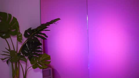 Snapshot of natydesiree chatting on February 2025 08:04:01 AM Naty online show from February 2025 08:04:01 AM