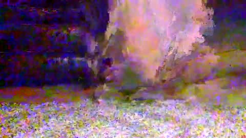 Snapshot of naughty__hotty chatting on March 2026 07:25:02 AM naughty__hotty online show from March 2026 07:25:02 AM