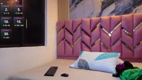 Snapshot of naughty_ebonyy chatting on January 2026 02:49:01 AM SASHA online show from January 2026 02:49:01 AM