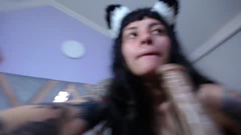 Kitten online show from January 2025 05:32:01 PM