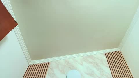 Kitten online show from October 2025 10:27:02 AM