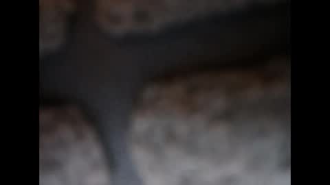 Snapshot of naughtypanties123 chatting on March 2026 06:08:02 AM naughtypanties123 online show from March 2026 06:08:02 AM