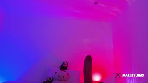 Snapshot of nelav0 chatting on December 2025 10:25:01 PM xd online show from December 2025 10:25:01 PM