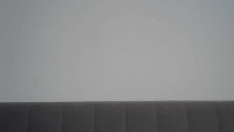 nelly_fortu online show from February 2026 11:04:02 AM