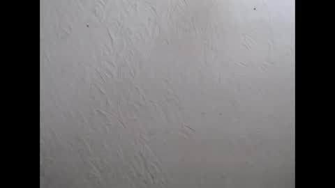 Snapshot of nensyfay_ chatting on November 2025 07:45:02 PM Nensy online show from November 2025 07:45:02 PM