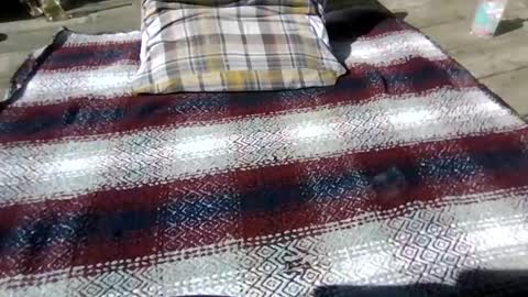 Snapshot of neosohorny chatting on April 2026 07:22:02 PM neosohorny online show from April 2026 07:22:02 PM