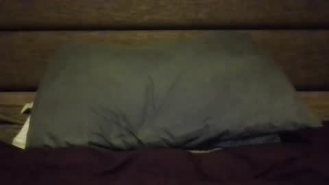 Snapshot of nerfylil2 chatting on January 2026 04:37:02 AM Nerfylil online show from January 2026 04:37:02 AM