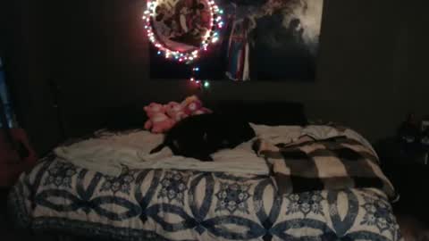 Nettie D Monroe online show from November 2025 05:34:02 PM