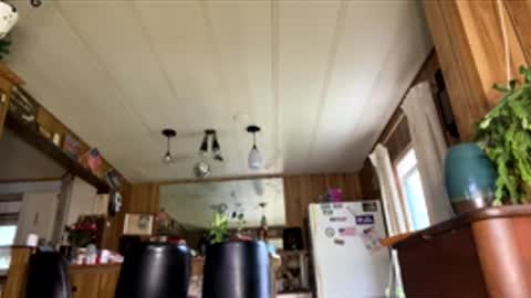 neversaynevrrr online show from April 2026 07:51:01 PM