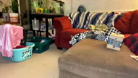 Snapshot of neverwinter44 chatting on April 2026 05:19:01 AM neverwinter44 online show from April 2026 05:19:01 AM