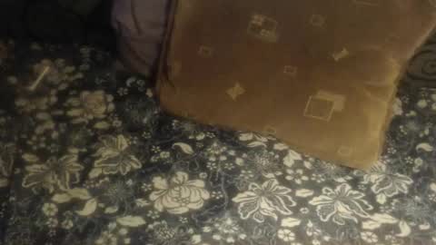 Lilly  online show from November 2025 04:37:01 AM