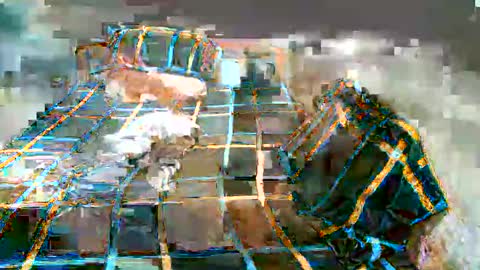 Lucy Pearl online show from January 2025 11:16:01 AM