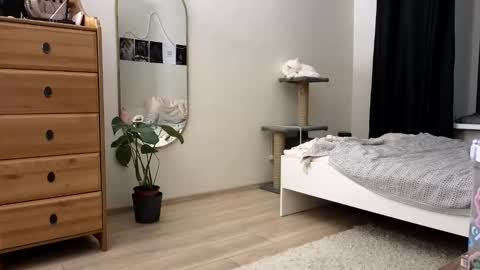 Snapshot of newproject_ chatting on November 2025 04:18:02 PM Nova online show from November 2025 04:18:02 PM