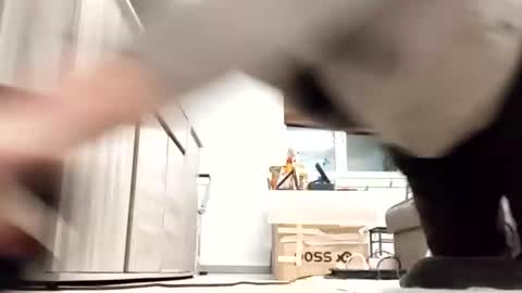 Snapshot of nguyen7788789 chatting on October 2025 04:46:01 AM nguyen7788789 online show from October 2025 04:46:01 AM