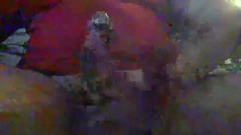 nice_cock8080 online show from January 2026 12:38:01 AM