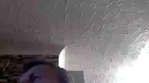 nice_cock8080 online show from July 2026 11:55:01 PM