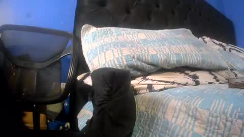 myniceblkdnyc online show from March 2026 06:23:01 PM