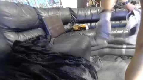 niceonebrov online show from March 2026 10:43:02 AM