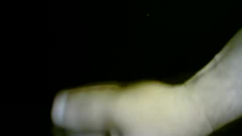 nicholaastavrou19 online show from April 2026 12:00:02 AM