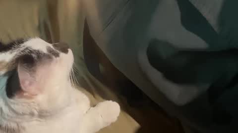 Nick f and Bennie m online show from September 2025 02:46:02 AM