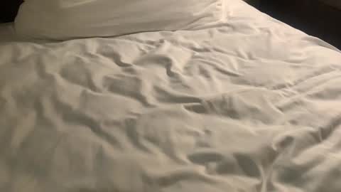 Snapshot of nickzoos3 chatting on January 2025 09:55:01 AM Nick Zoos online show from January 2025 09:55:01 AM