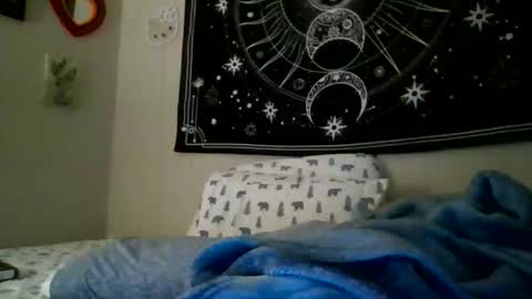 Nicole online show from February 2026 12:01:01 PM