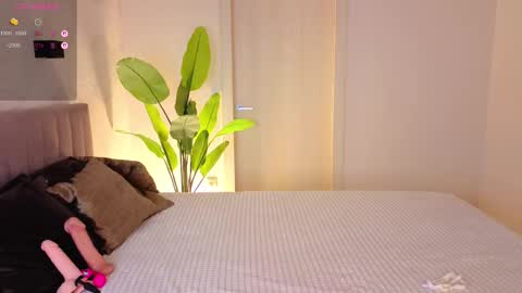 Daisy nd Tyler 3 online show from September 2025 11:59:01 PM