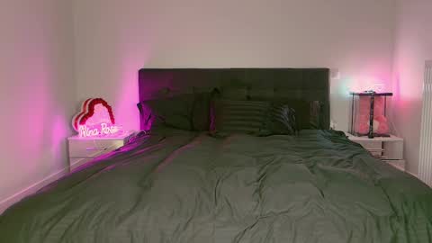 Snapshot of niinarosee1 chatting on February 2025 06:05:01 PM Niinarosee online show from February 2025 06:05:01 PM