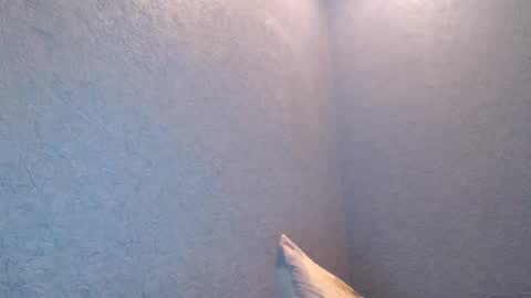 NikayShadow online show from February 2025 04:47:01 PM