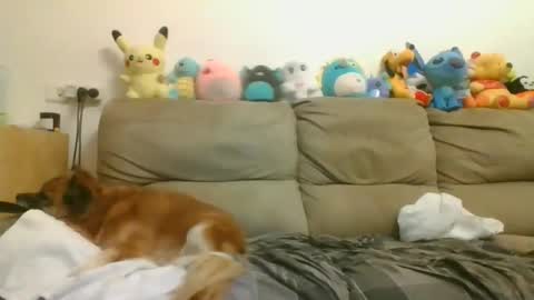 Snapshot of nikeair305 chatting on April 2026 07:17:02 PM Brian and Logan Brogan online show from April 2026 07:17:02 PM