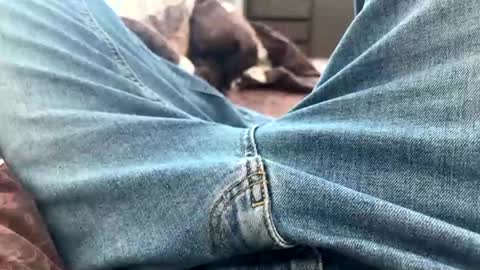 NIk online show from February 2025 10:47:02 AM