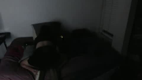 nikkigamer online show from November 2025 11:47:02 AM