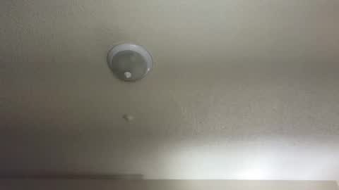 Snapshot of nikkimasters1091 chatting on February 2025 10:48:02 AM Nikki Mastersgirl1091 online show from February 2025 10:48:02 AM