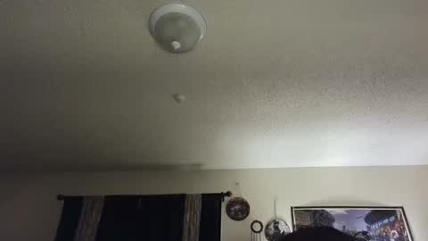 Snapshot of nikkimasters1091 chatting on February 2025 02:00:02 PM Nikki Mastersgirl1091 online show from February 2025 02:00:02 PM